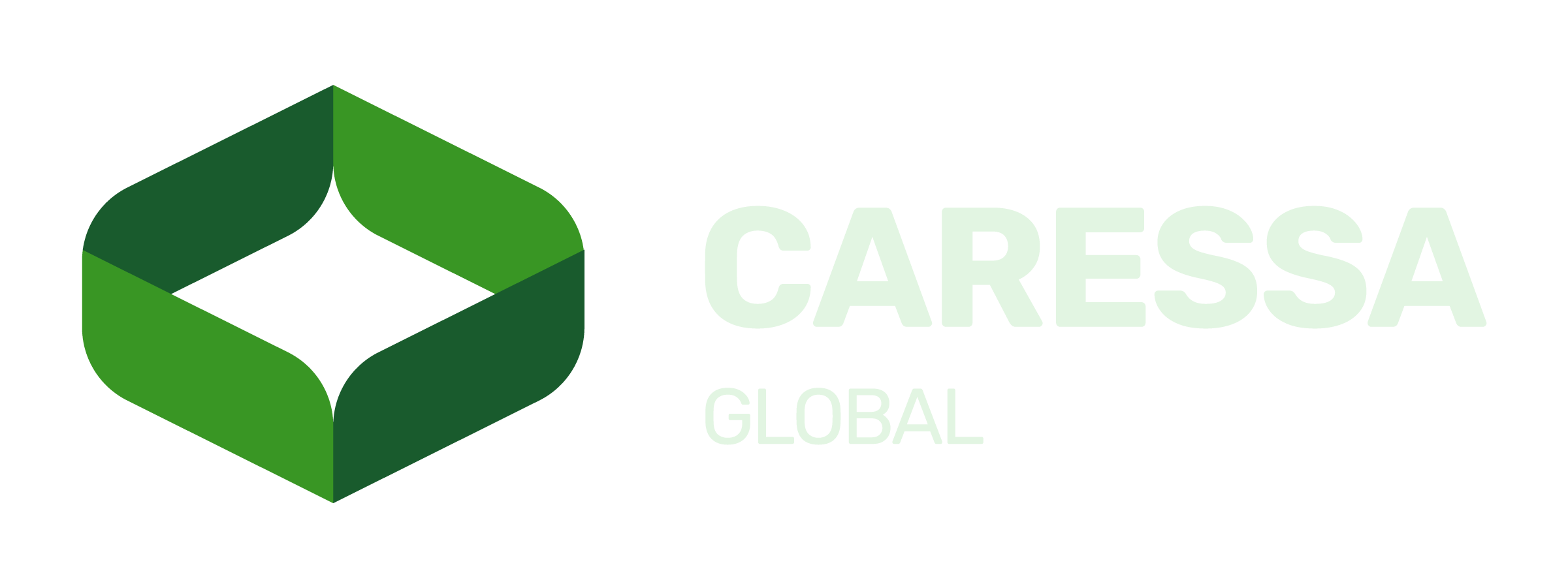 Carresa Global Logo